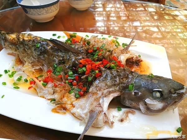当地特色的野生光鱼,清蒸的,味道棒极了.