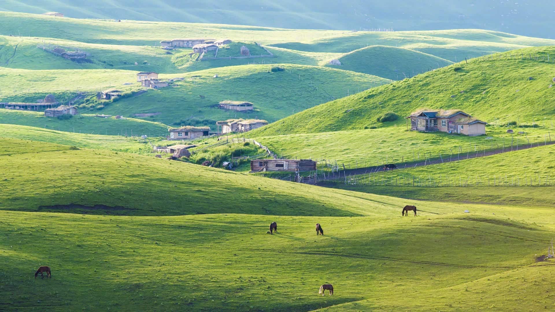 新疆天山草原牧场新疆