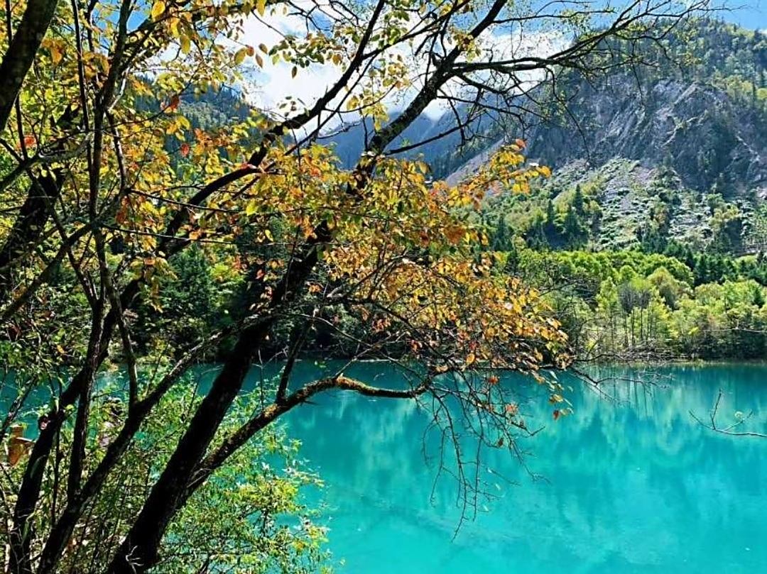 我喜歡大自然的風景,喜歡那如夢似幻高山流水絕景意境畫面