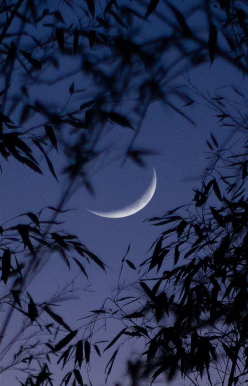 风醒酒,月悬钩.凉初透处暑初收!