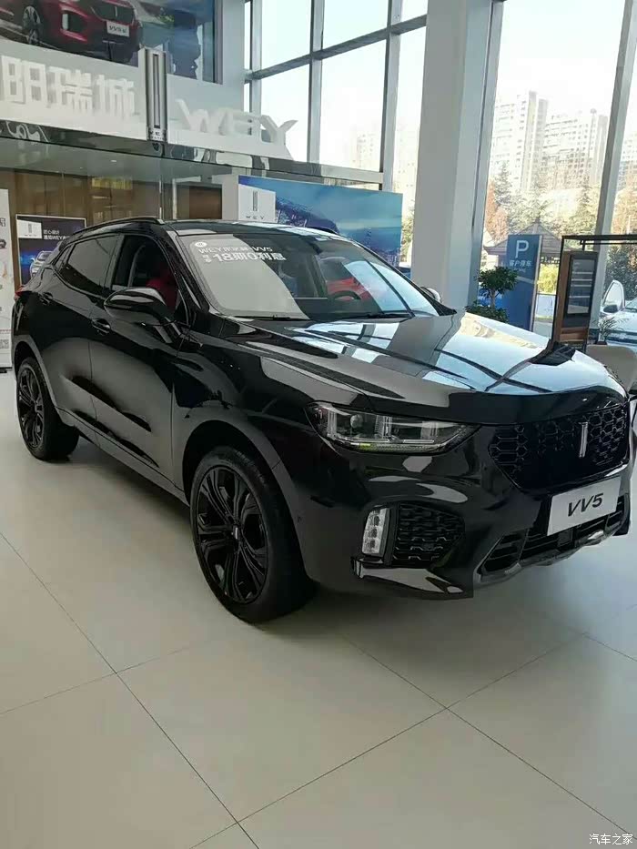 第一次买魏车挑的眼花缭乱