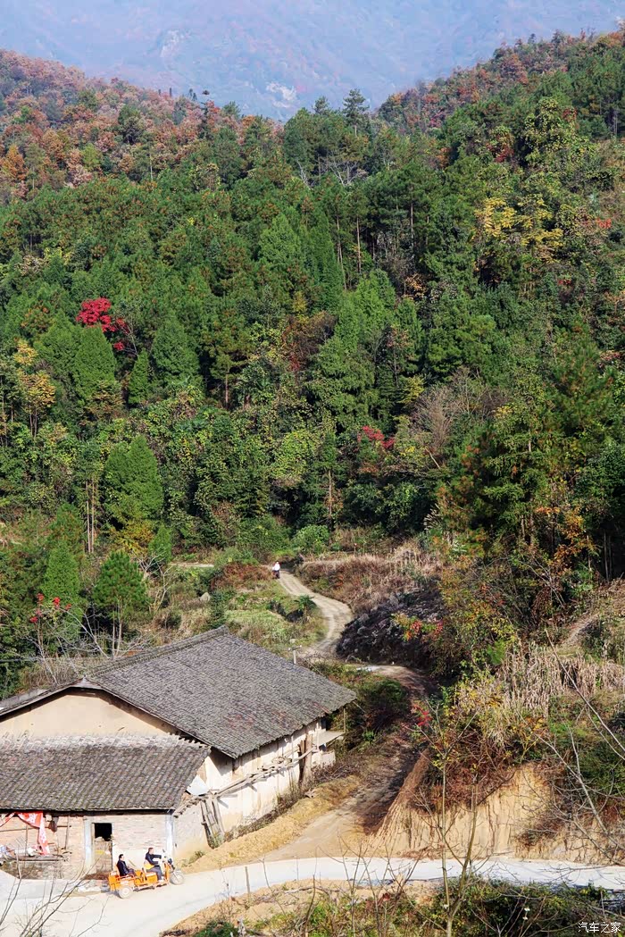 四季分明,属亚热带季风温润气---五权镇随拍.