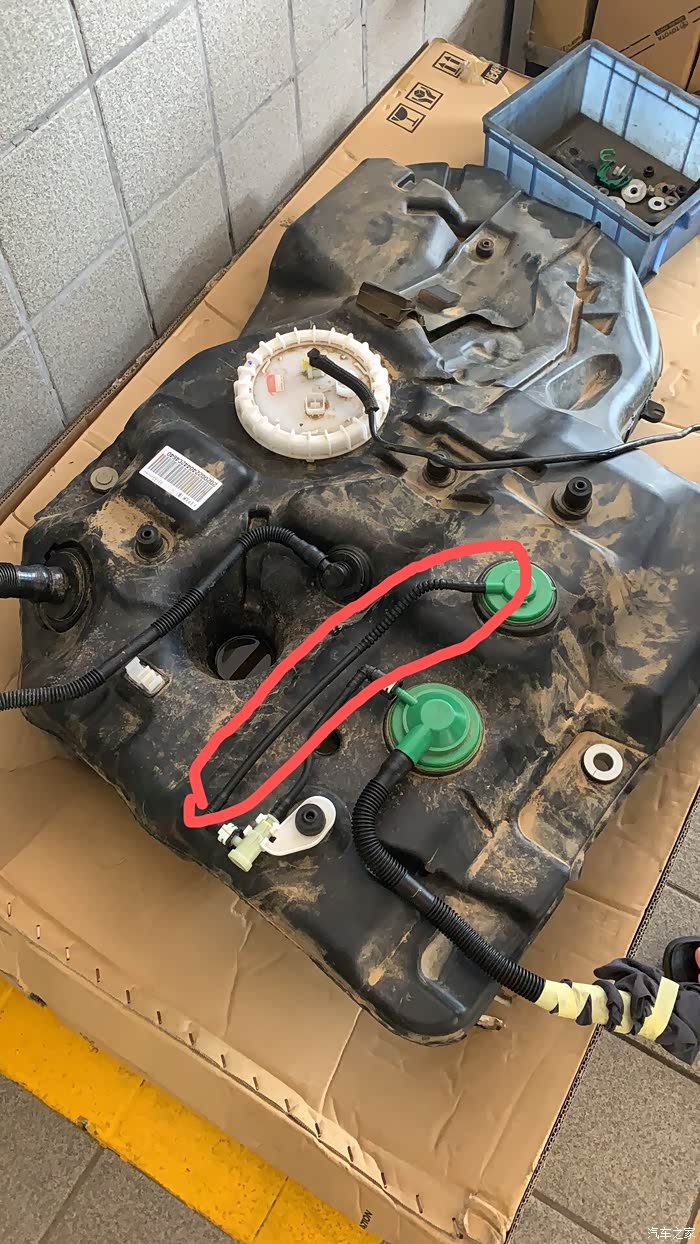 【图】油箱上面油管被老鼠咬了_雷克萨斯rx论坛_汽车之家论坛