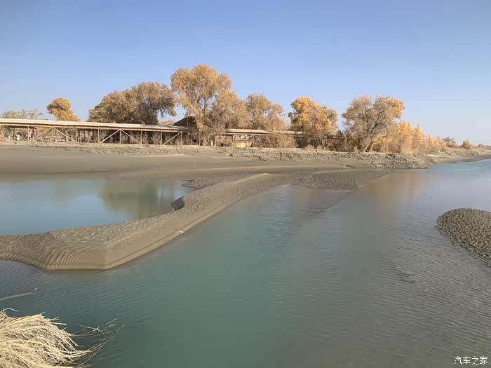 深秋新疆巴州尉犁沙漠胡杨塔里木河尽赏