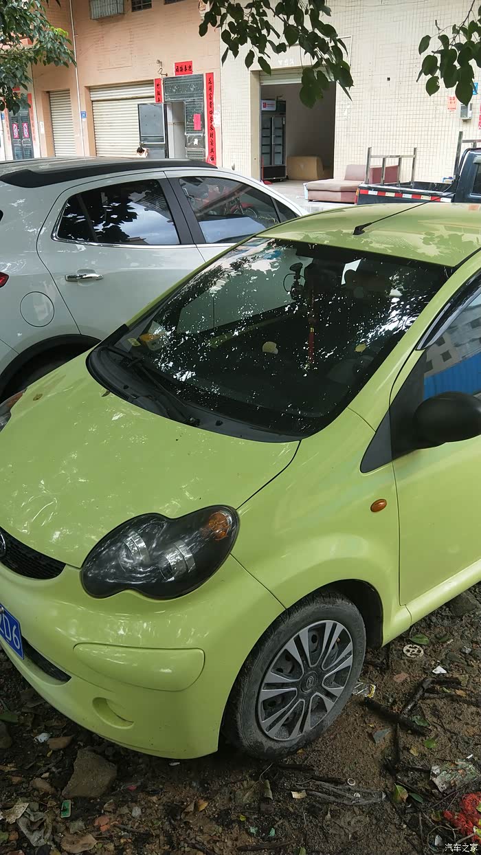 10年中配比亚迪蛋蛋