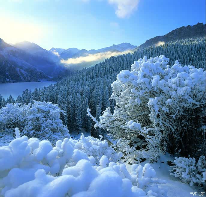 新疆冬季景观,深秋渐凉,昨夜降雪,只是还未天寒地冻