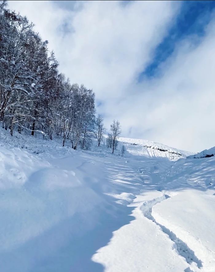 喜迎2022喀纳斯人迹罕至处的醉人雪景