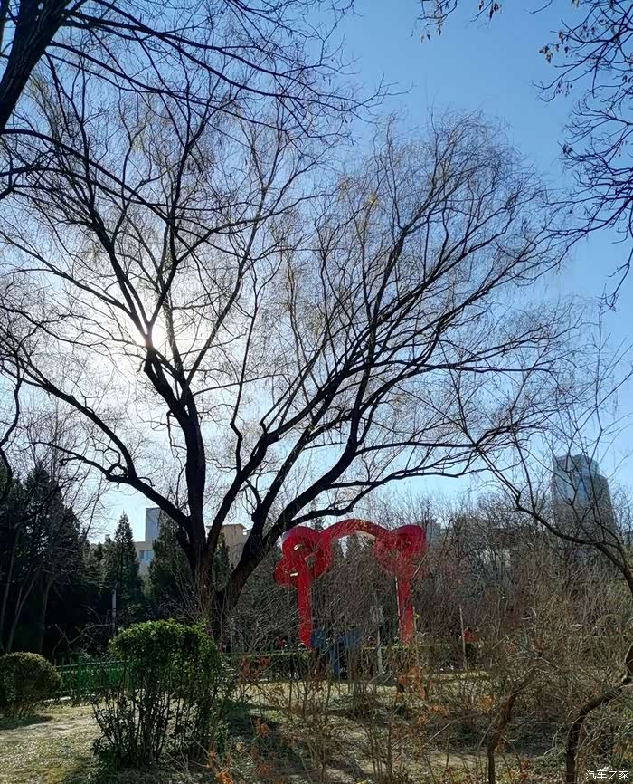 告别2021双榆树公园