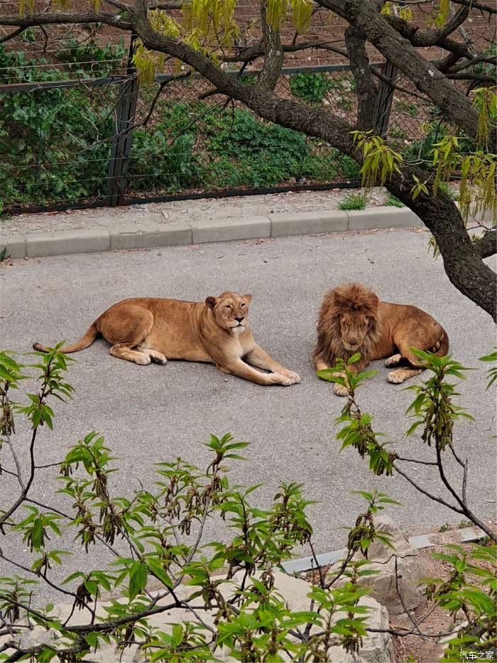 游览大连森林动物园