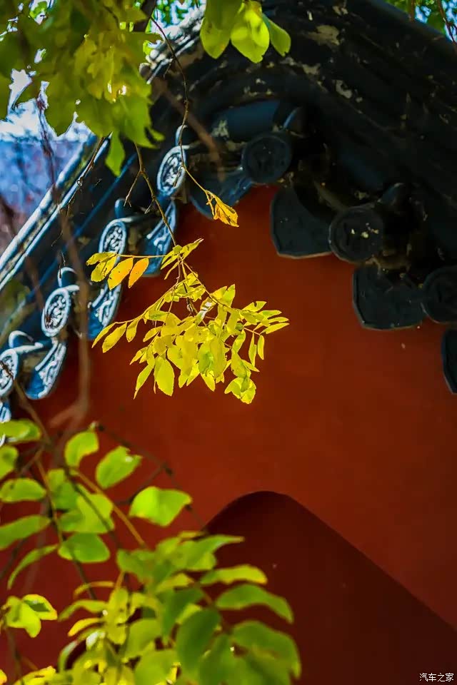 红墙青瓦的建筑,彰显着寺院的古朴.