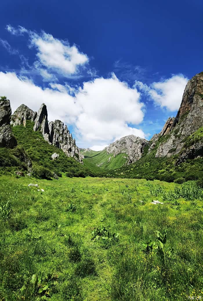 【年末福利大反馈】白龙江大峡谷