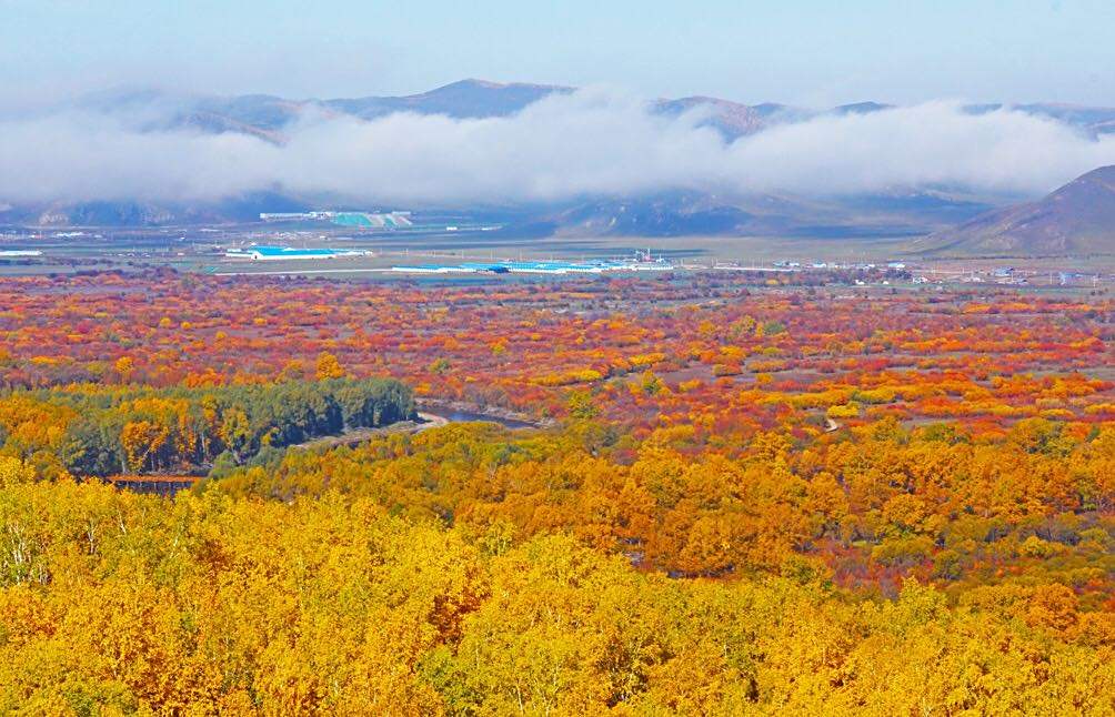 北方的秋天,進入五彩斑斕的世界,大自然的神奇魅力.