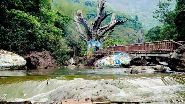 年末福利大反馈乐游北回归线上的白水寨与森林海