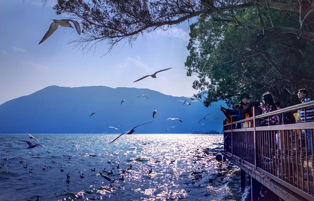 清爽的微风拂来.湖面泛起一层层涟漪.清风吹拂蔚蓝色的湖面.