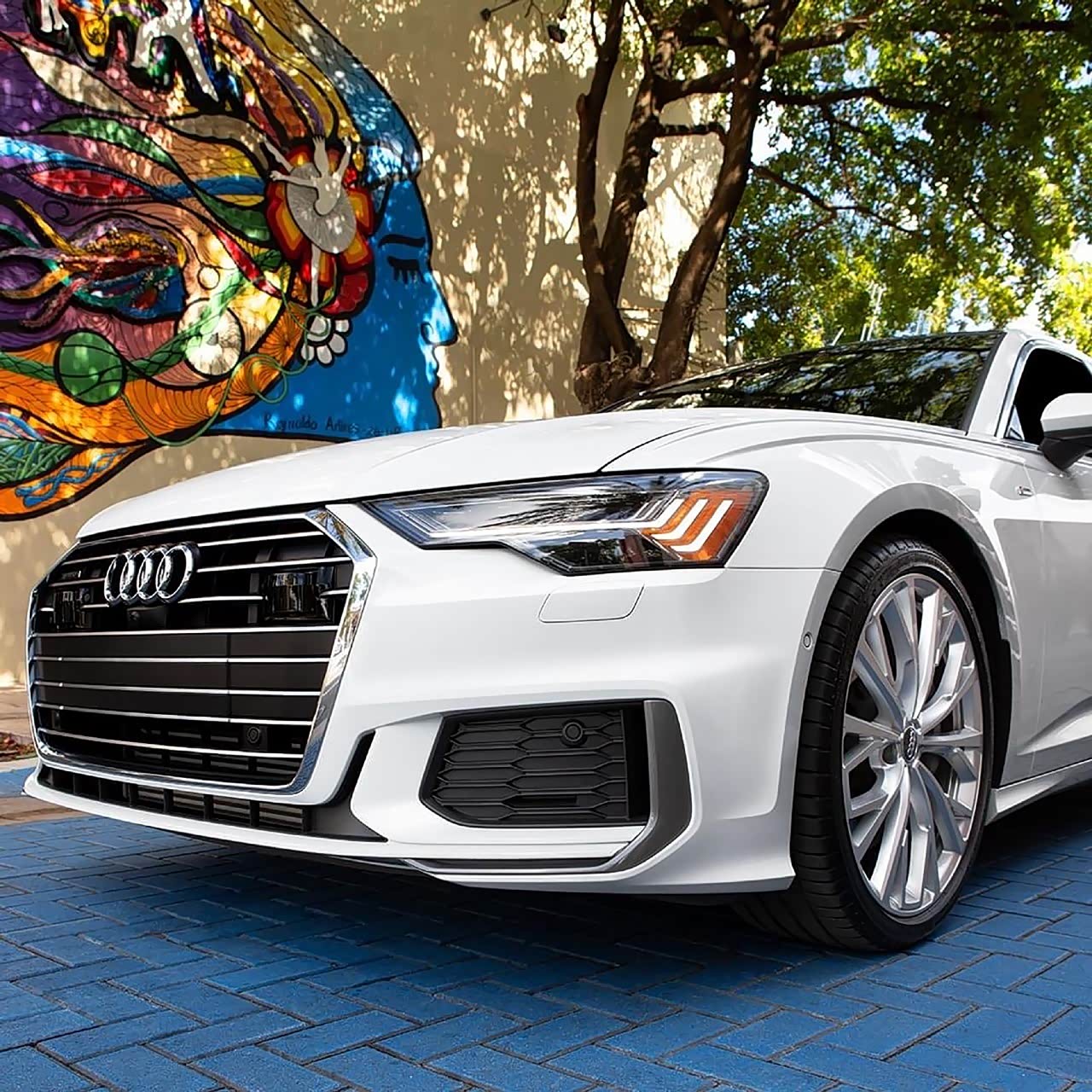 嗯鹦鹉好看还是白色奥迪a6好看