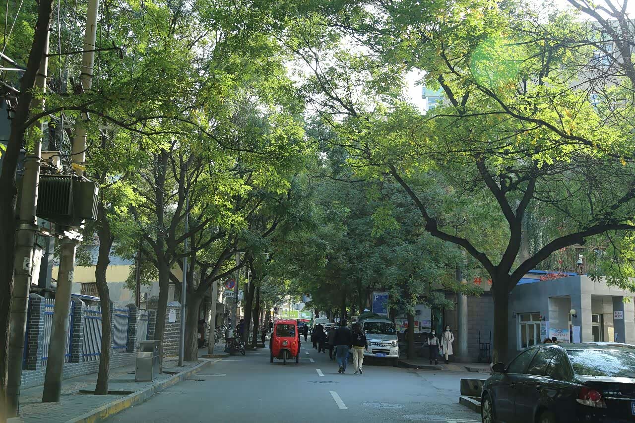 这是西北省会城市兰州街头一景