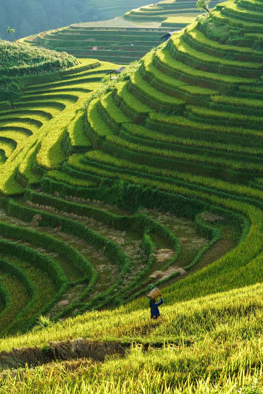 梯田的美·你真的见过么?