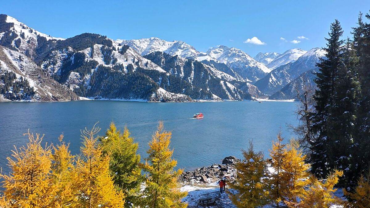 峽谷深處山巒白雪皚皚,峽谷中的古榆樹,柏楊樹和野山楂灌木叢.