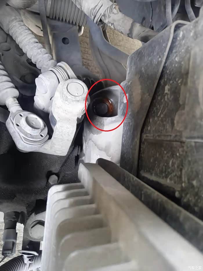 【图】满10年的小科出现防冻液漏液情况,请各位指教!
