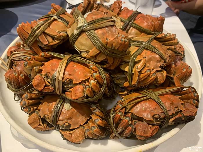 痛车族鹏游蟹宴