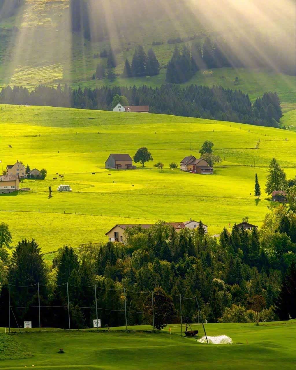 喜欢充满阳光的日子,心情美美的.