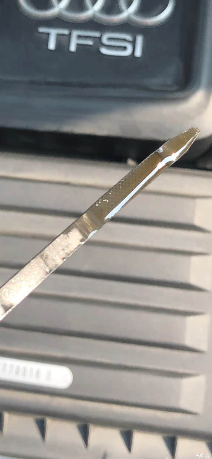 【图】机油标尺位置_奥迪a3论坛_汽车之家论坛
