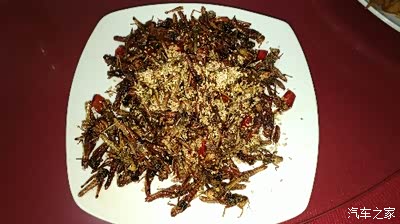 天牛把翅膀外壳摘直接油炸他们真啥都吃我只敢尝个真敢吃