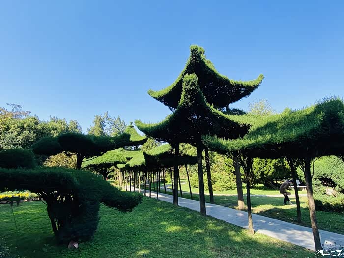 年末福利大反馈蓍草园