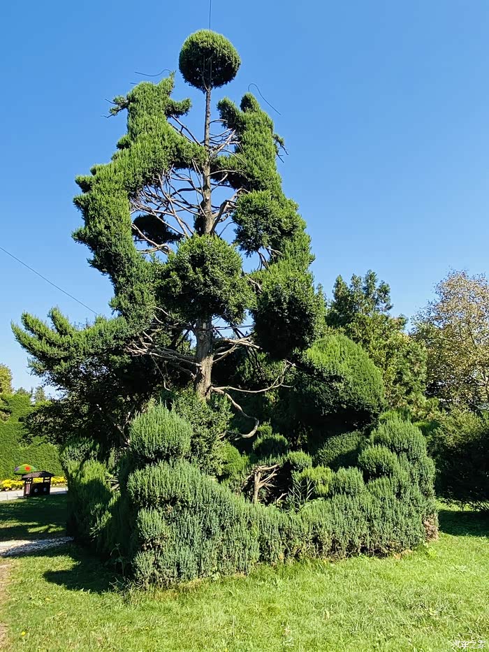 年末福利大反馈蓍草园
