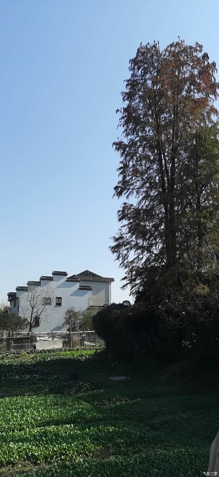 【图】米市渡松南郊野公园半日游_上海论坛_汽车之家论坛