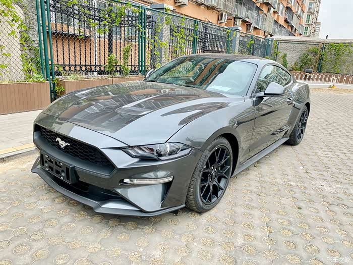 mydreamponycar准备提车的可以看看