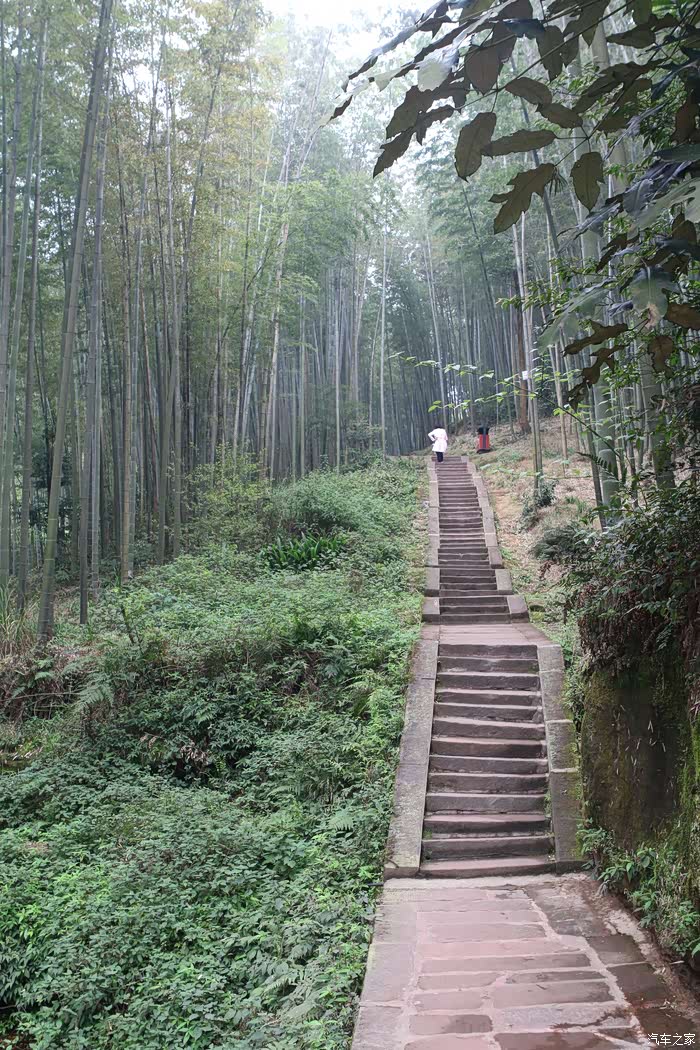 cxfc甘肃竹波千里翠甲天下蜀南竹海游记