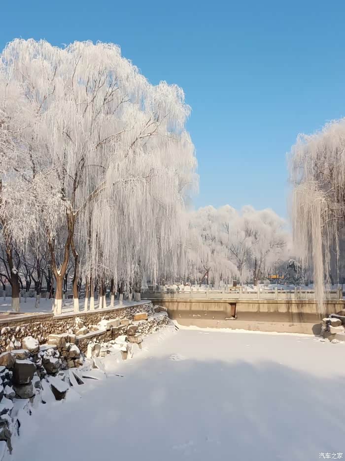 【图】辽东半岛雪景_辽宁论坛_汽车之家论坛