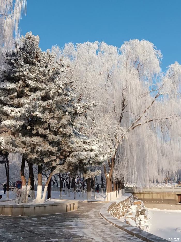 辽宁朝阳雪景图片
