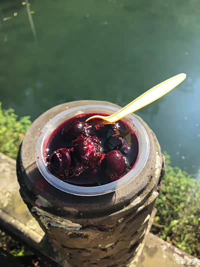 胭脂果,酸酸甜甜