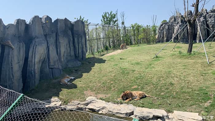 不负春光——泰州小昂车友会二季度南通森林野生动物园亲子自驾游