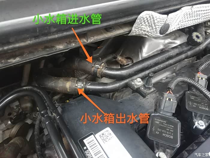 观致3都市自己动手换防冻液蓝绿换成骚红