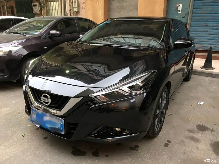 我想知道 有楼主是黑色的蓝鸟么!感觉好酷