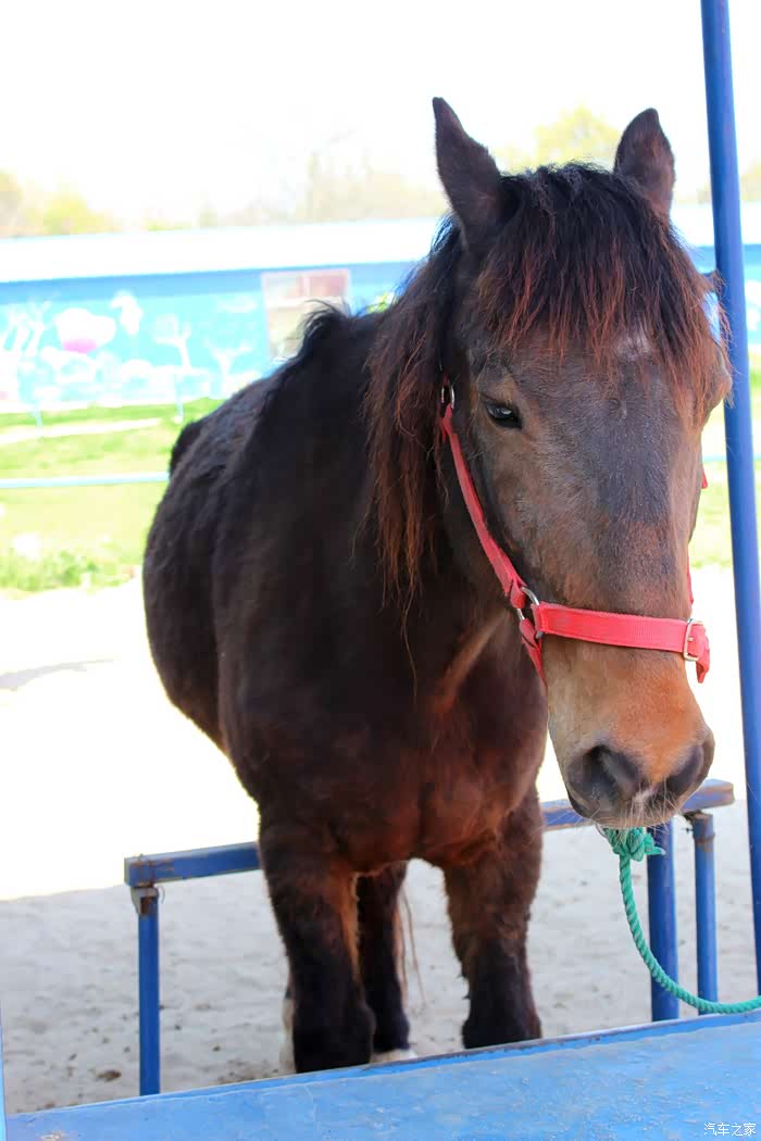 不一样的小三游扬州茱萸湾动物园