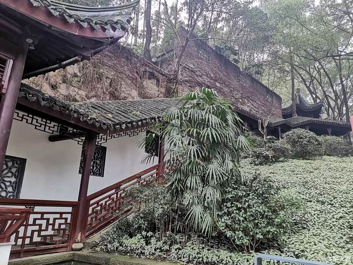 【你好2021】泸州忠山公园闲游-4