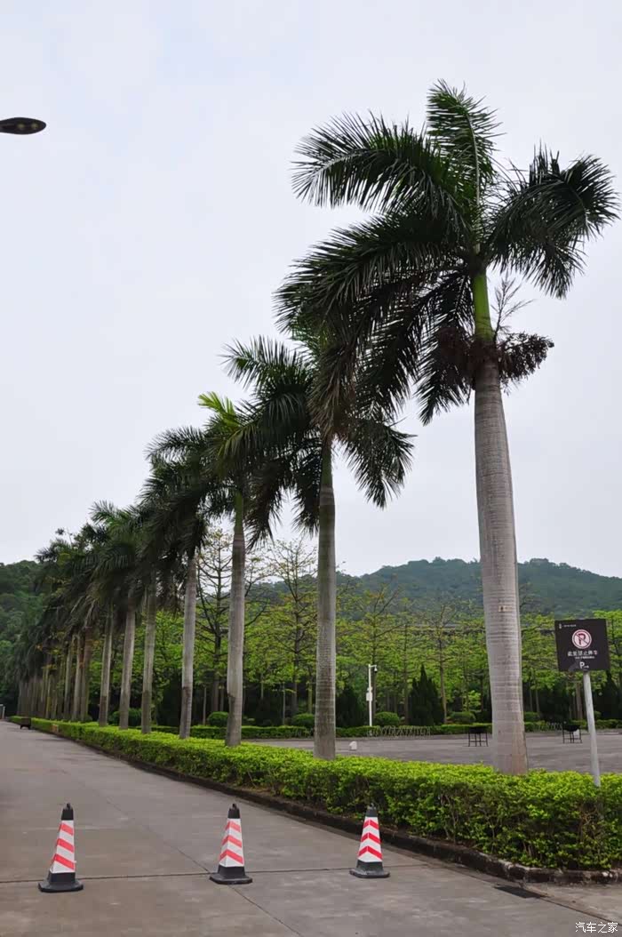 珠江横琴 虎门威远炮台,一场古今融汇之旅