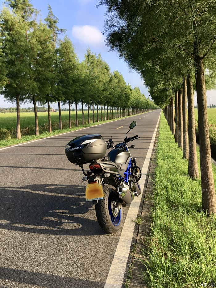 铃木sv650提车贴