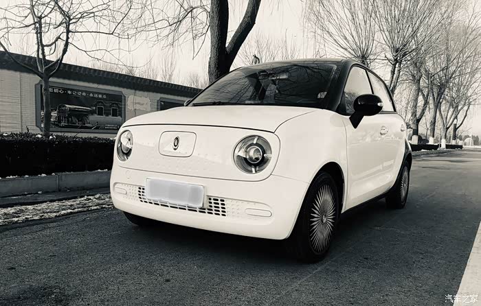 黑白欧拉演绎黑与白的魅力