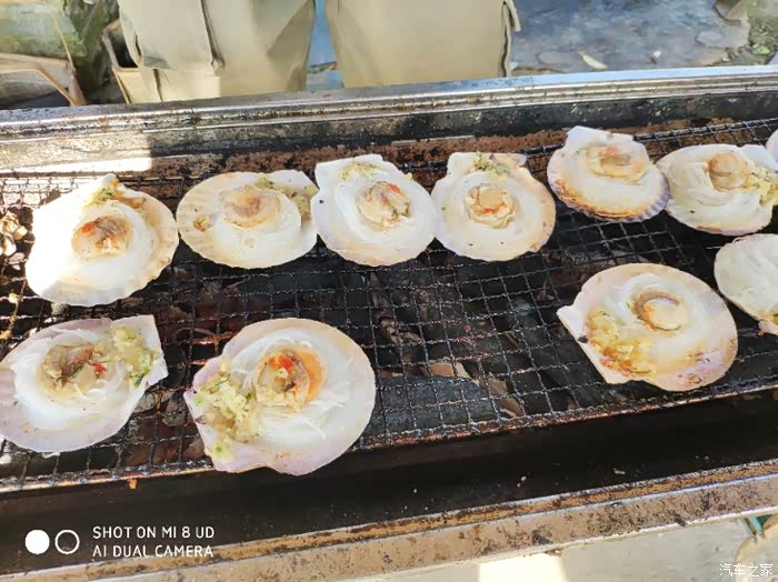 上海荣威ei6-绿箭侠车友会-年会活动