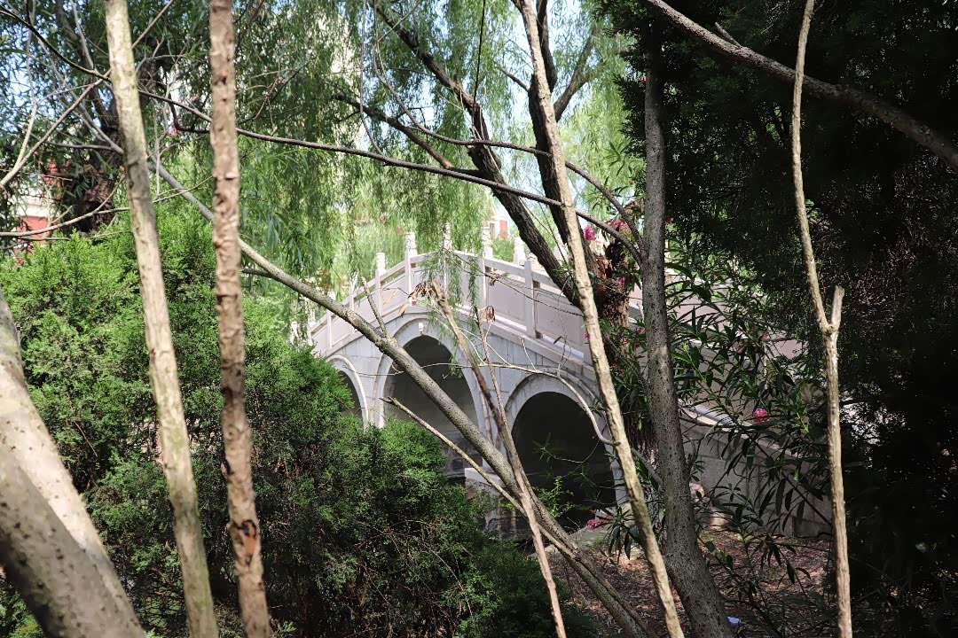 大七伴我游亭中立碑的圣过潭