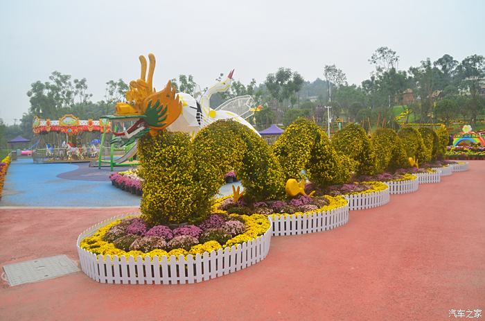 小白陪伴遊雨仙農谷欣賞菊花展