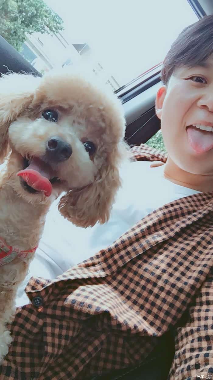 你看它嘚瑟的样子!