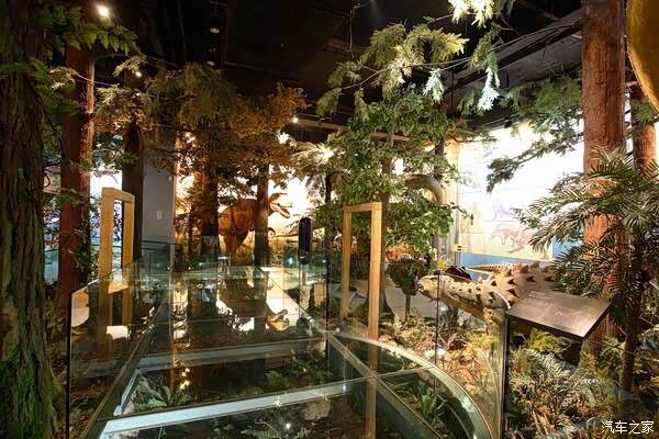 人与自然的自然博物馆