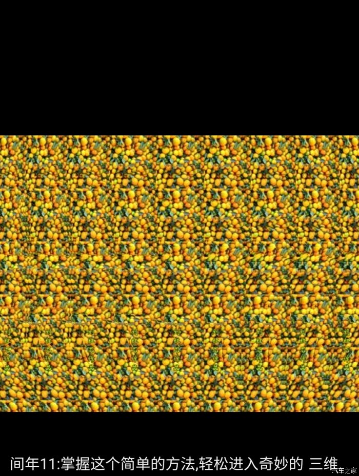 【图】你看过三维立体图?会看请给出答案?_北京论坛_汽车之家论坛