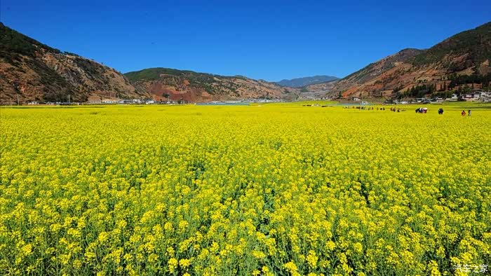 2019春节游东方阳光谷——米易